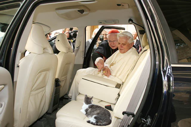 Pope Cat