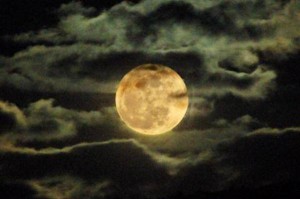 Full Moon in Africa