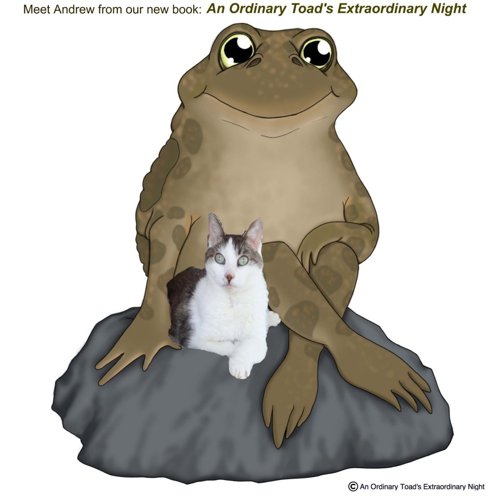ANDREW with Gracey words copyright An Ordinary Toad's Extraordinary Night