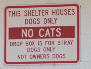 Dog pound sign The sign from the Dog Shelter where I was found