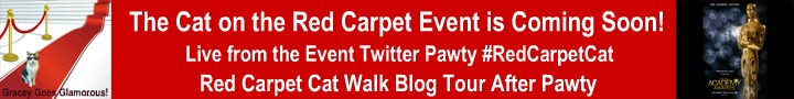 Red Carpet Cat Banner pre