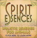 Spirit Essences ad