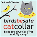 birdsbesafe_banner_125x125