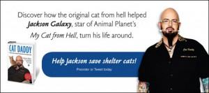 CatDaddyPromo1