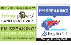 2013 Speaker Badges 2013 Speaker Badges