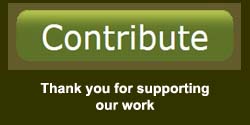 contribute button wideget