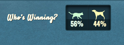 Team cat Who is winning Team Cat Who is Winning
