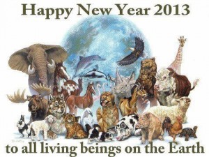 Happy New Year 2013 global Awakening