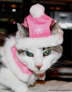 Gracey in pink snowflake hat