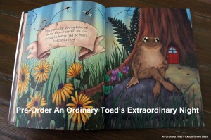 An Ordinary Toad's Extraordinary Night