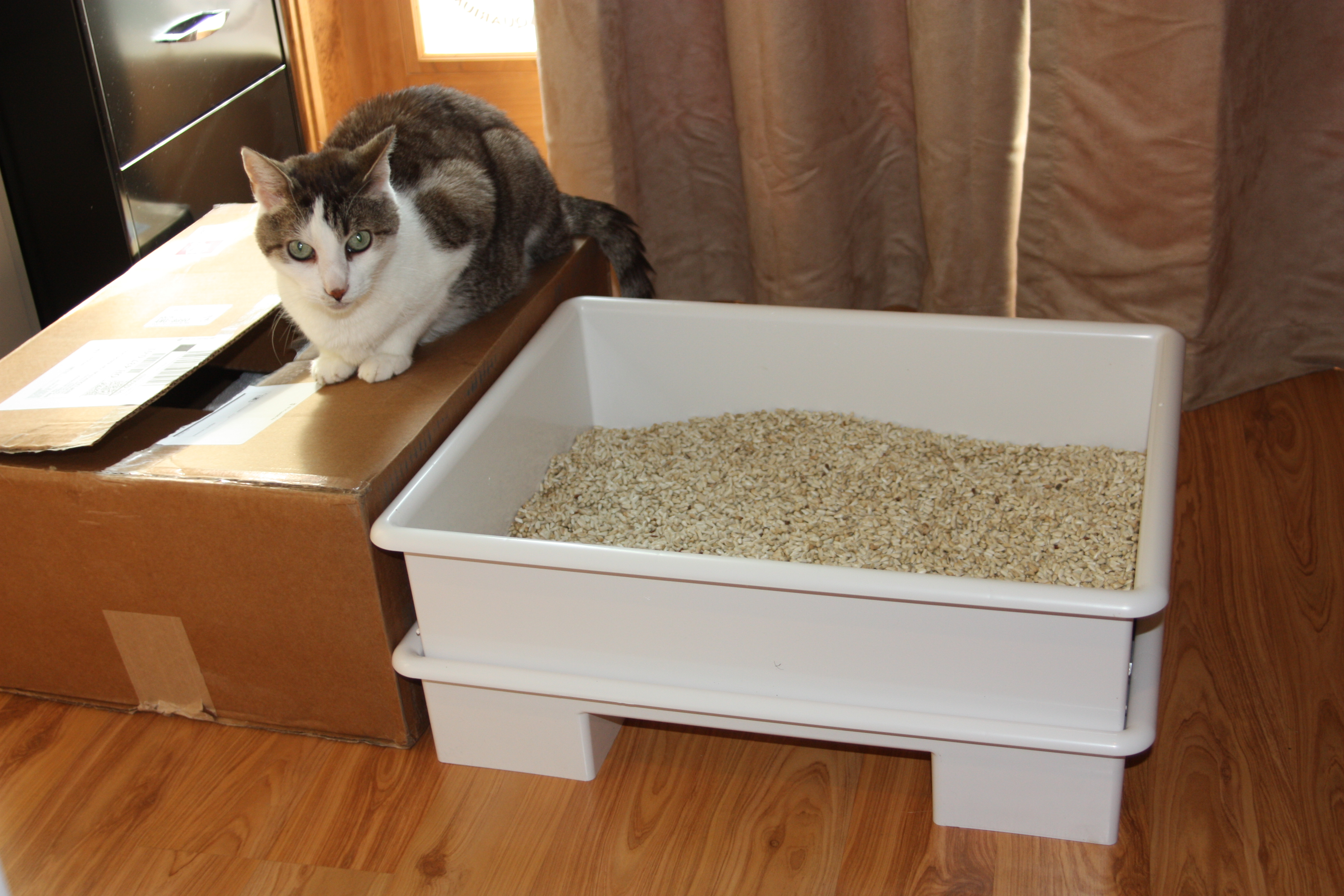 The Smart Cat Box. Saves Money Too! The Tiniest Tiger's