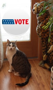 Vote Bad Kitty