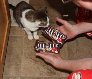 Gracey's dad bribing with m&m's