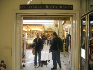 Gracey at Herrods Food Hall