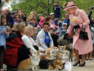 Gracey, The Queen and the Corgis