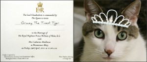 Royal Wedding Invitation for Gracey, The Tiniest Tiger