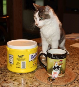 Gracey wondering if her dad's tea is too sweet