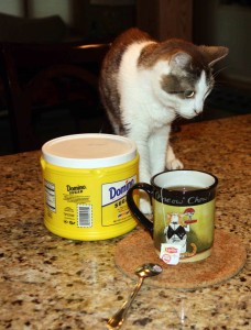 Gracey putting a couple of cat hairs in Dad's tea