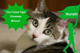 The Tiniest Tiger Giveaway Winner Image