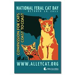 National Feral Cat Day