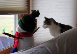 Keeping watch with snowman