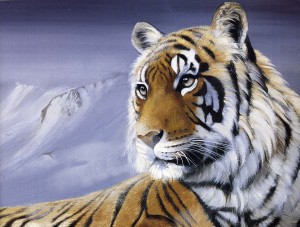 "Spirit of the Himalayas" from the book Eye of the Tiger