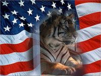 Remember Tony!  Keep Roaring Until He is Free.
