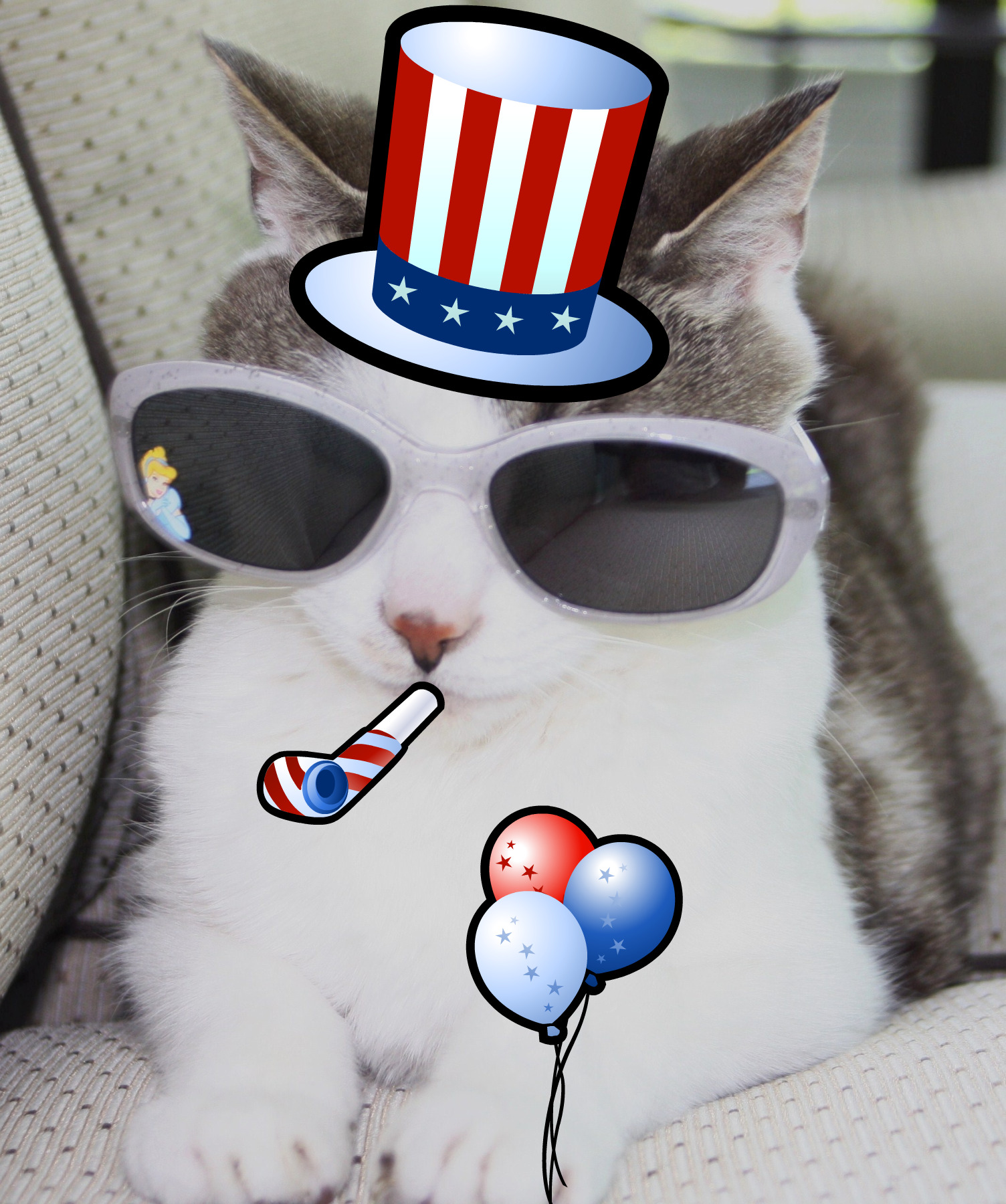 Happy 4th of July from The Tiniest Tiger