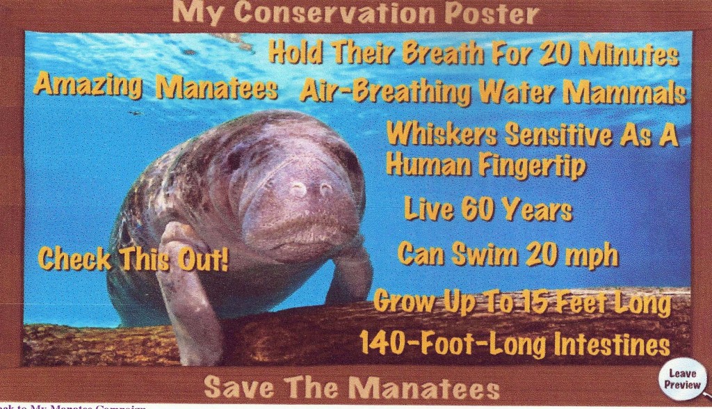 Show Me Your Manatee Conservation Poster