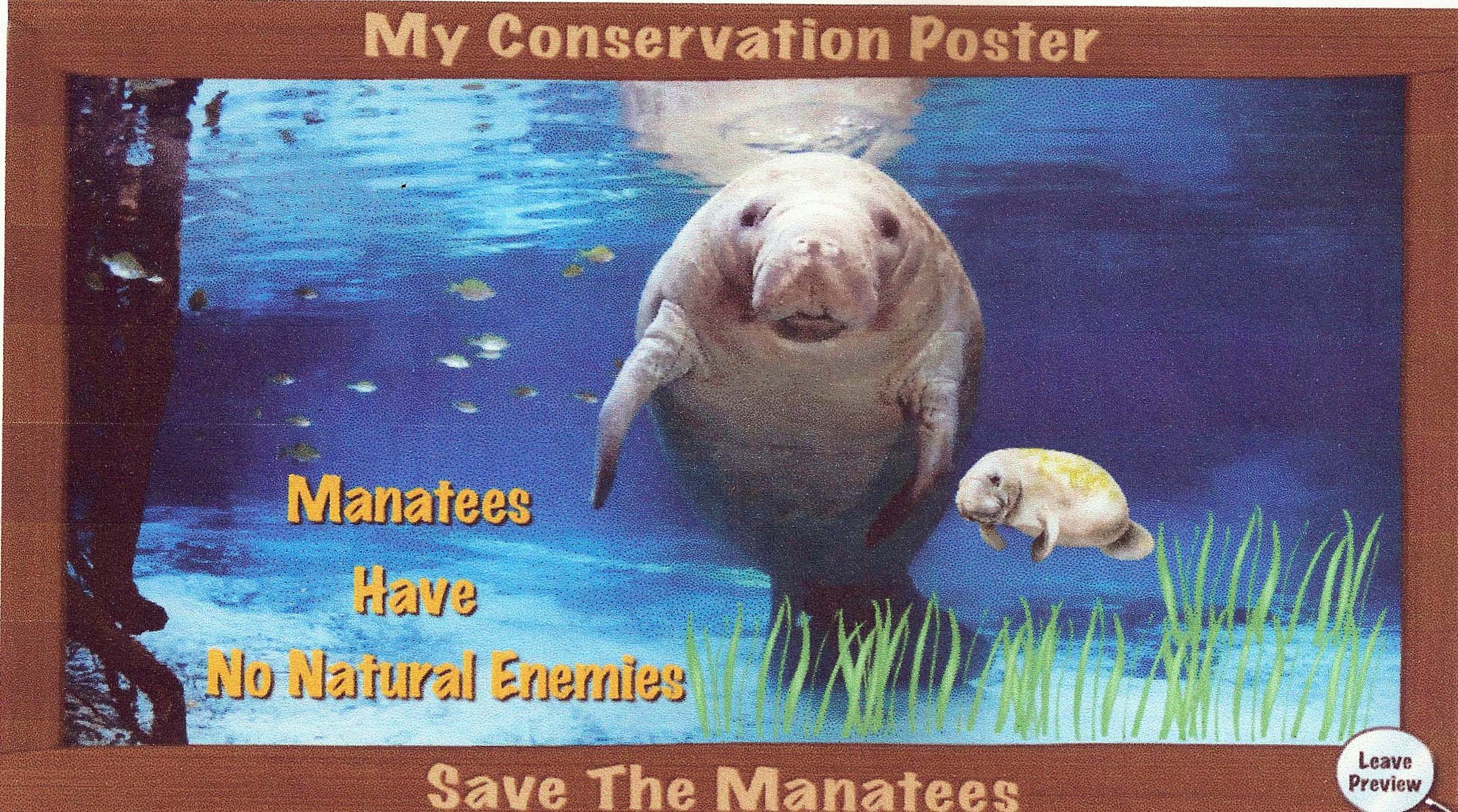 Show Me Your Manatee Conservation Poster!
