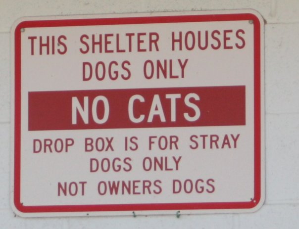 The sign from the Dog Shelter where I was found