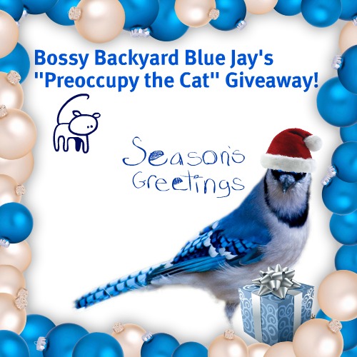 Bossy Backyard Blue Jay’s Preoccupy the Cat Giveaway!