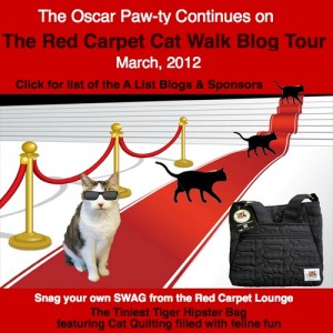 Cat Walk Blog Tour