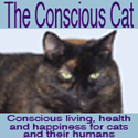 Conscious Cat Button