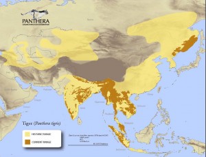 Panthera Tiger Range Map