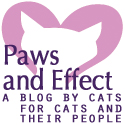 Paws and Effect Button