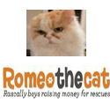 Romeo the Cat badge