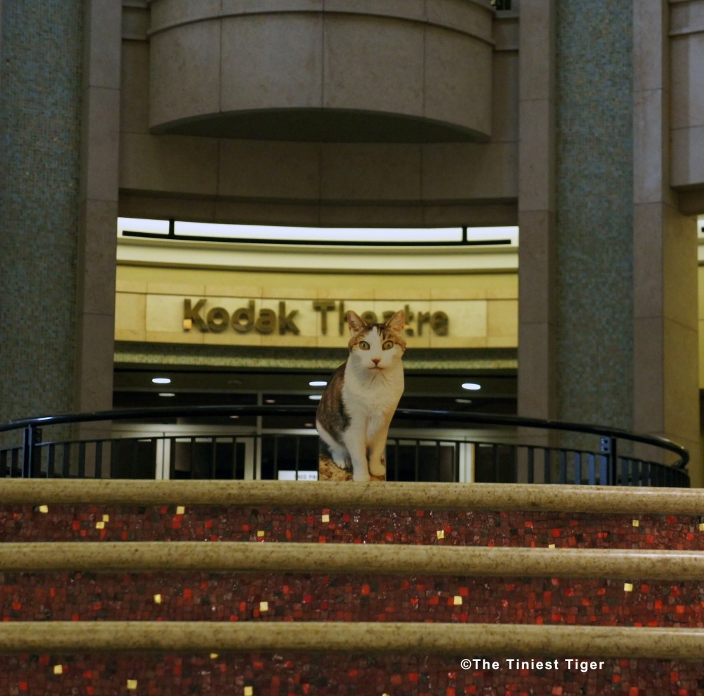 Gracey at Kodak Theatre