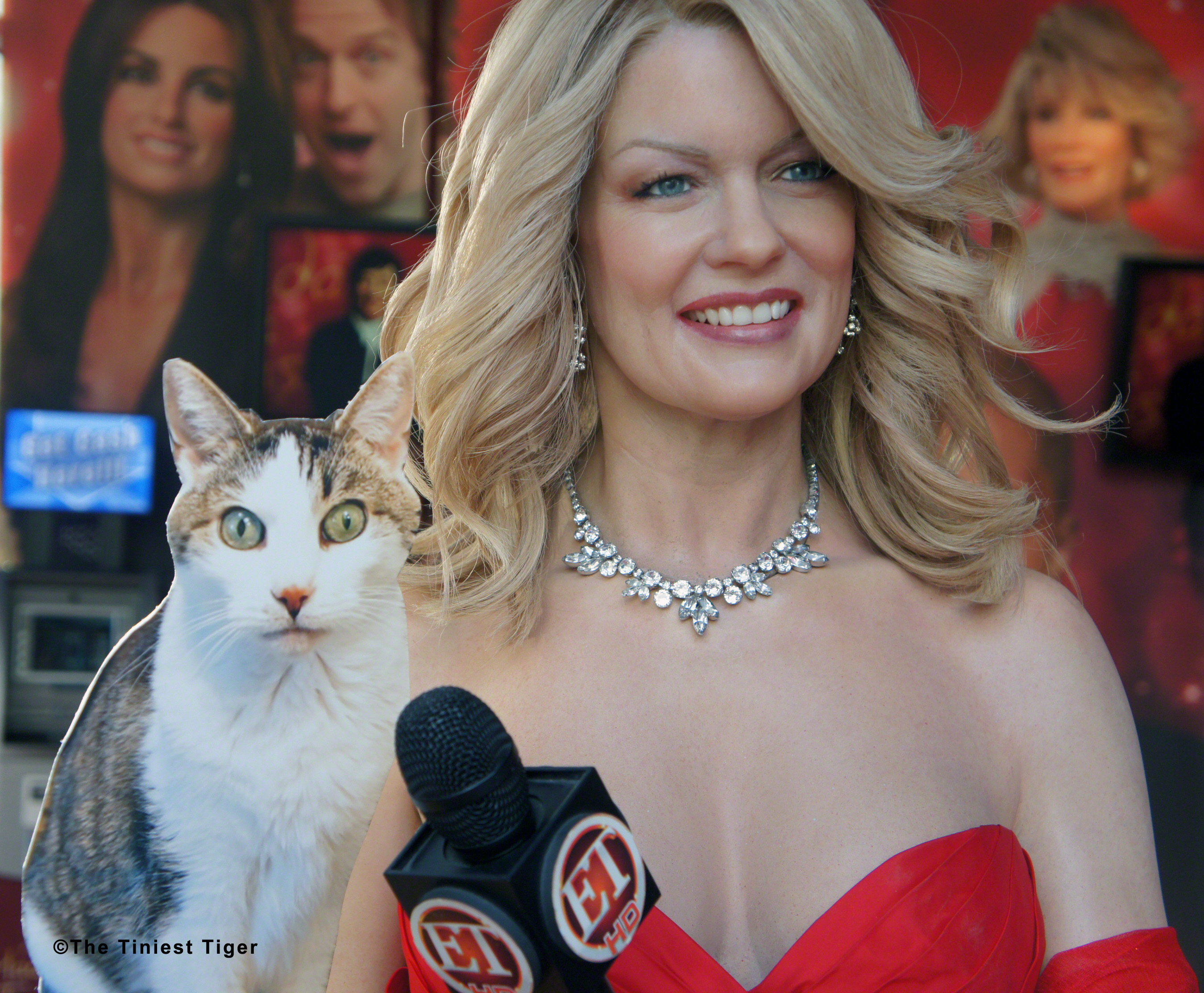 Cat on The Red Carpet. The Tiniest Tiger in Beverly Hills.