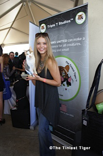 Cat on The Red Carpet. The Tiniest Tiger in Beverly Hills.