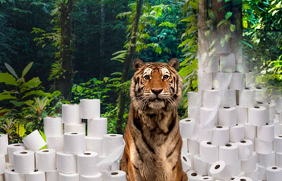 WWF Tiger and Toilet Paper