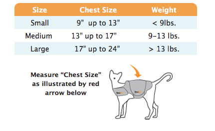 Thundershirt Helps Relieves Anxiety for Cats