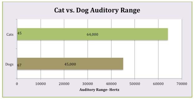 cat vs. dog auditory range