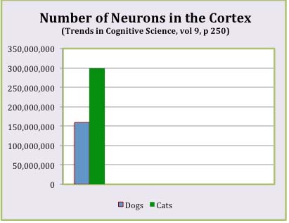 Neurons in the cortex of dogs and cats