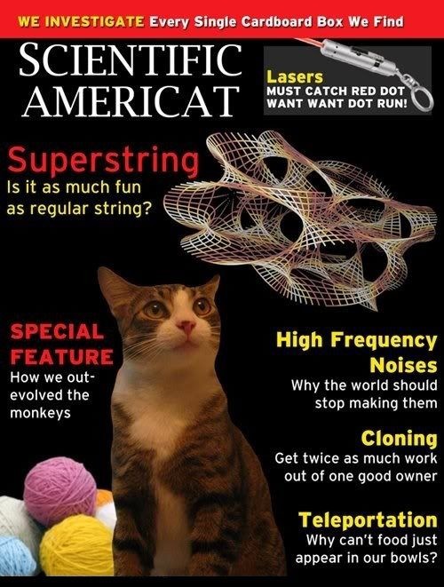 Scientific Americat