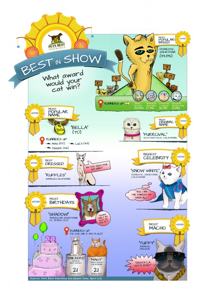 PetsBest Cat Infographic