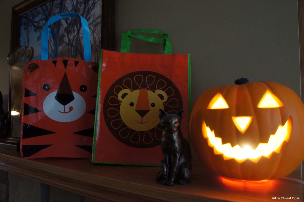 Happy Halloween From Annie, Eddie and Mercy The Tiniest Tiger