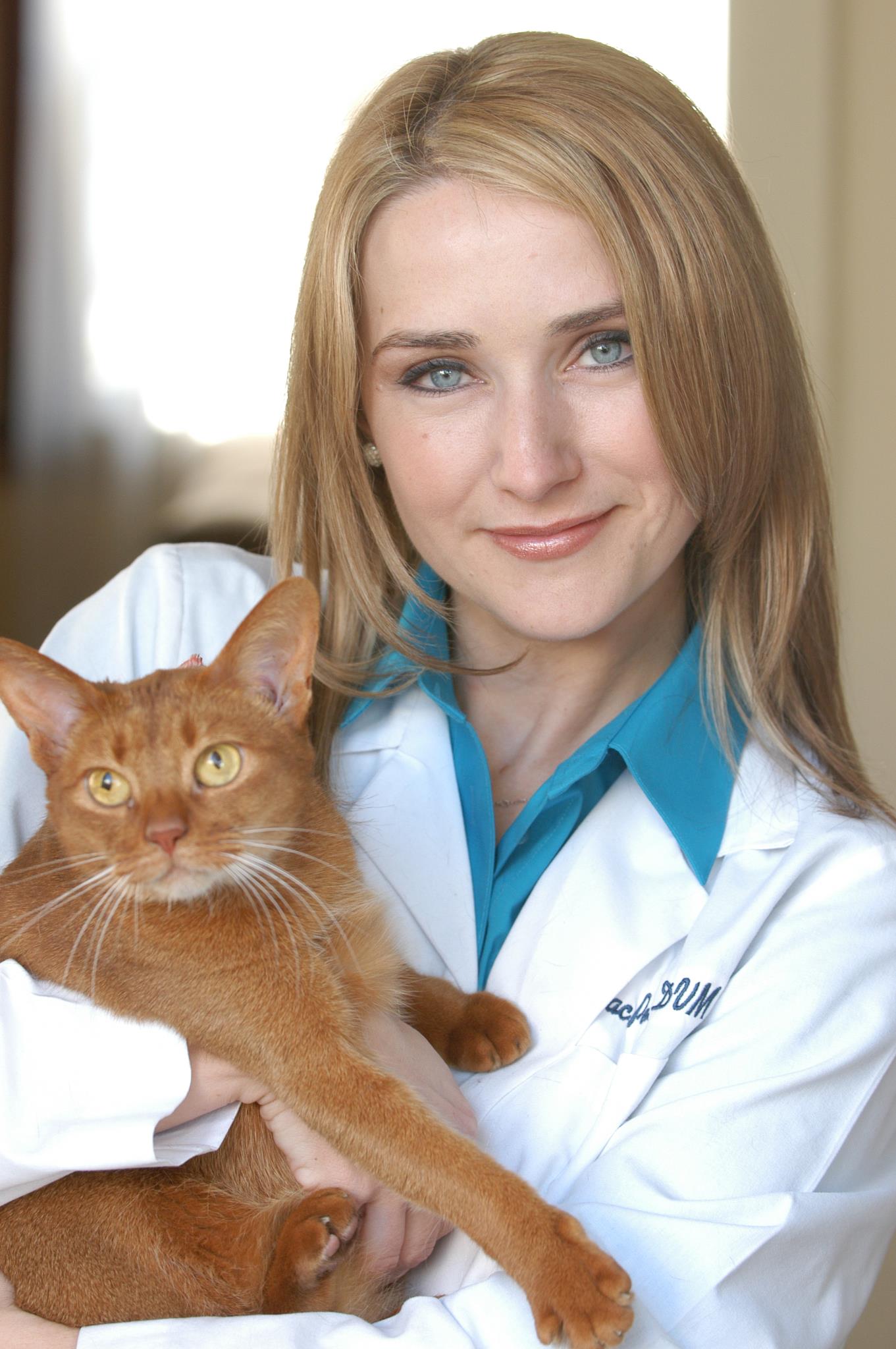 What All Cat Parents Need to Know About Diabetes