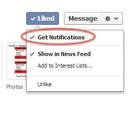 Check Get Notifications to See Facebook Updates in News Feed