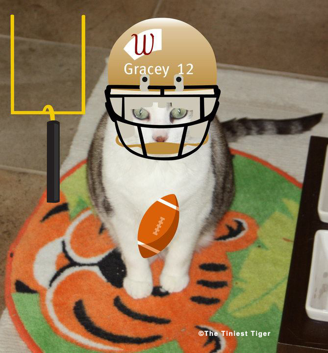 Football Gracey, The Tiniest Tiger
